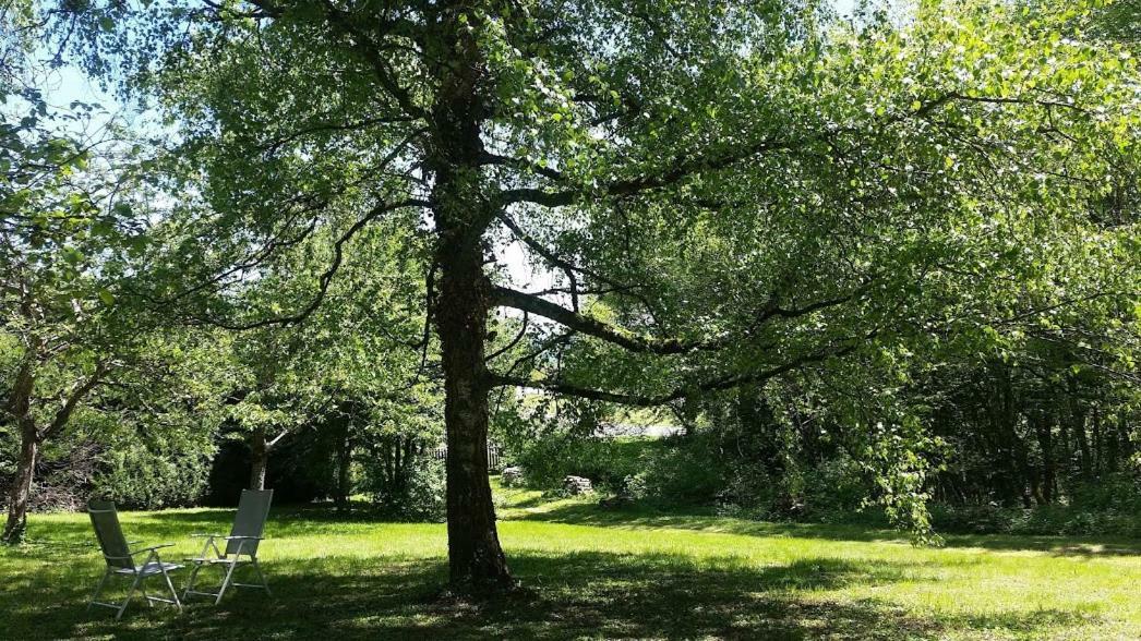 Le Cedre Enchante La Guiche Exterior foto